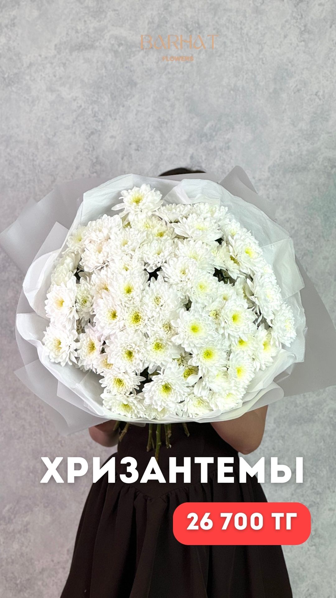 Хризантемы