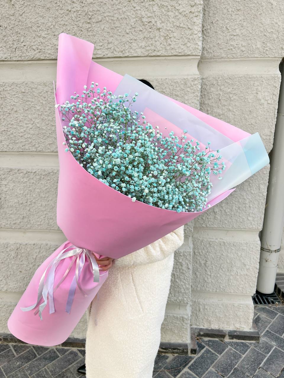 Радужные гипсофилы