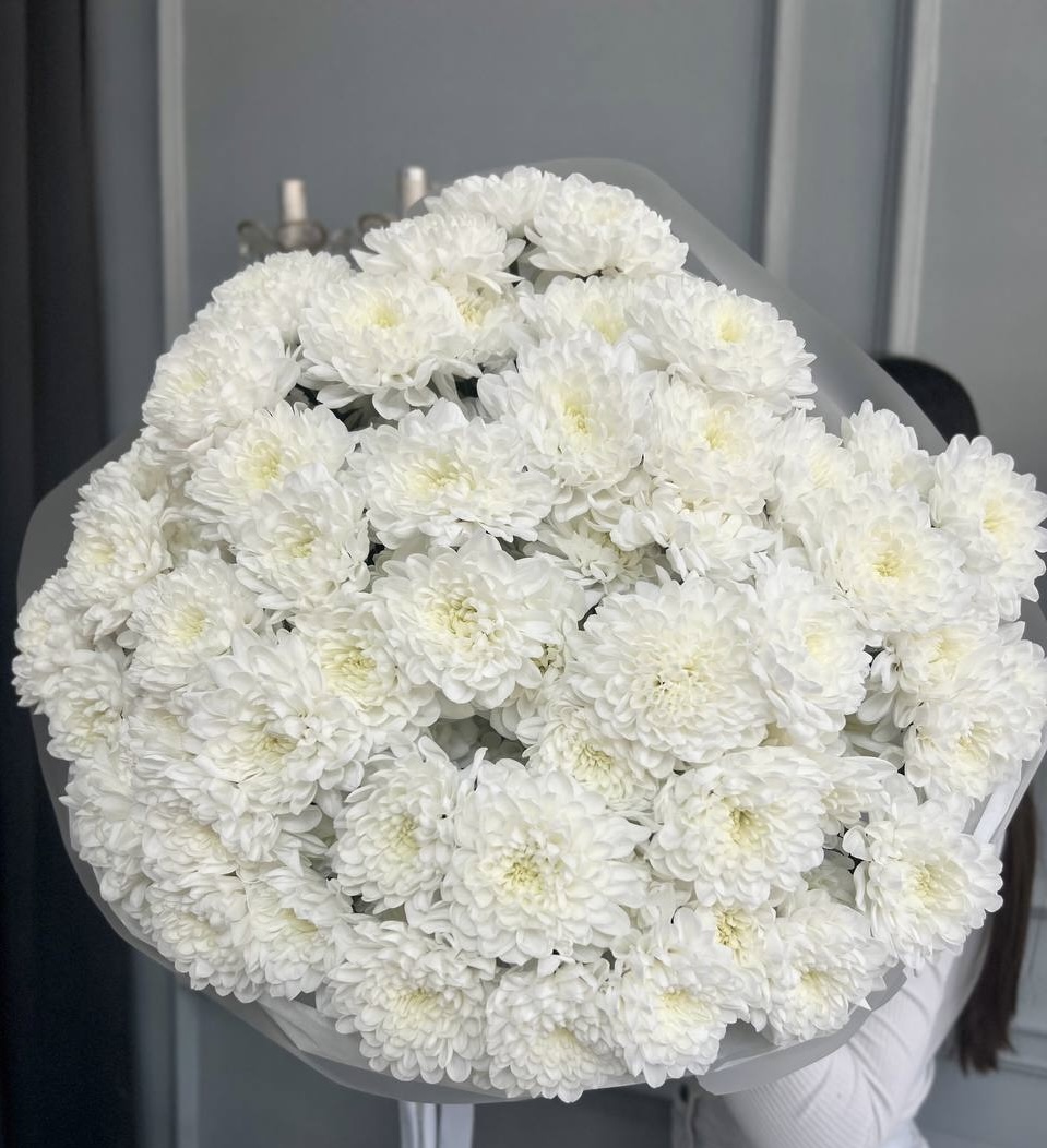 Пышные «Хризантемы»