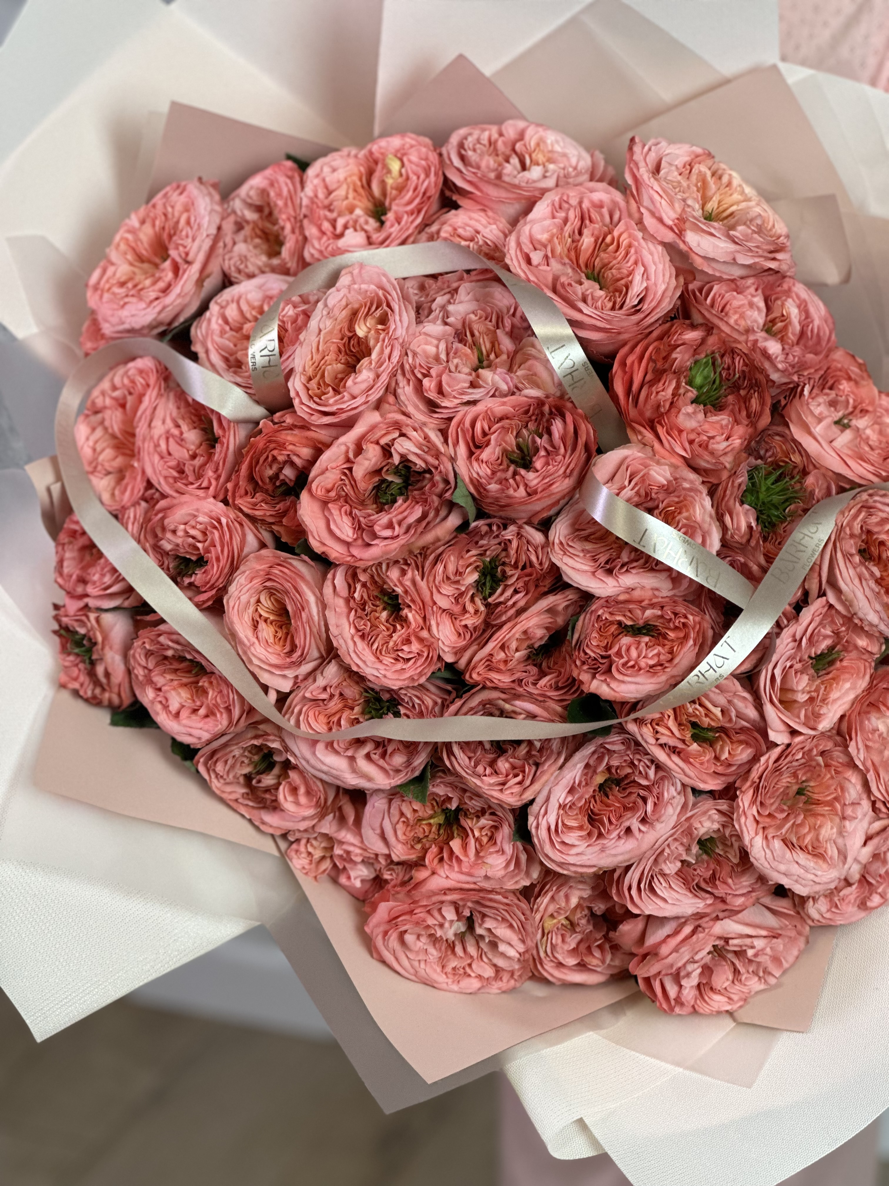 «Малиновый Закат»