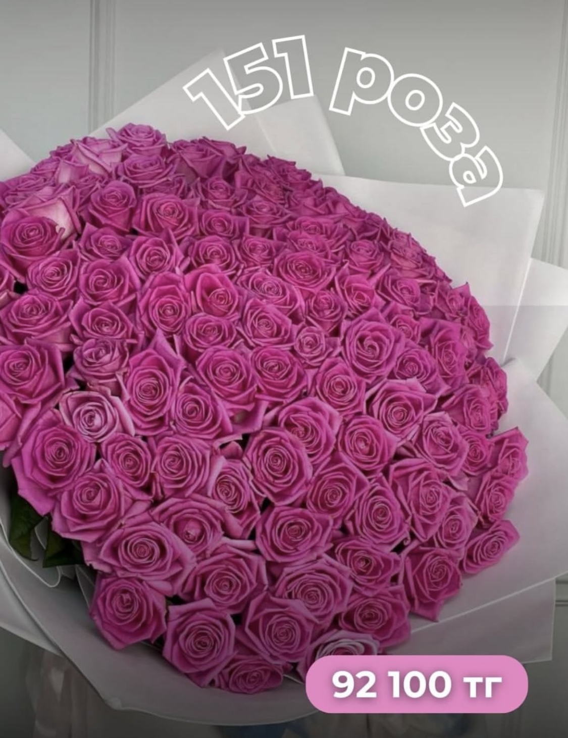 151 Роза